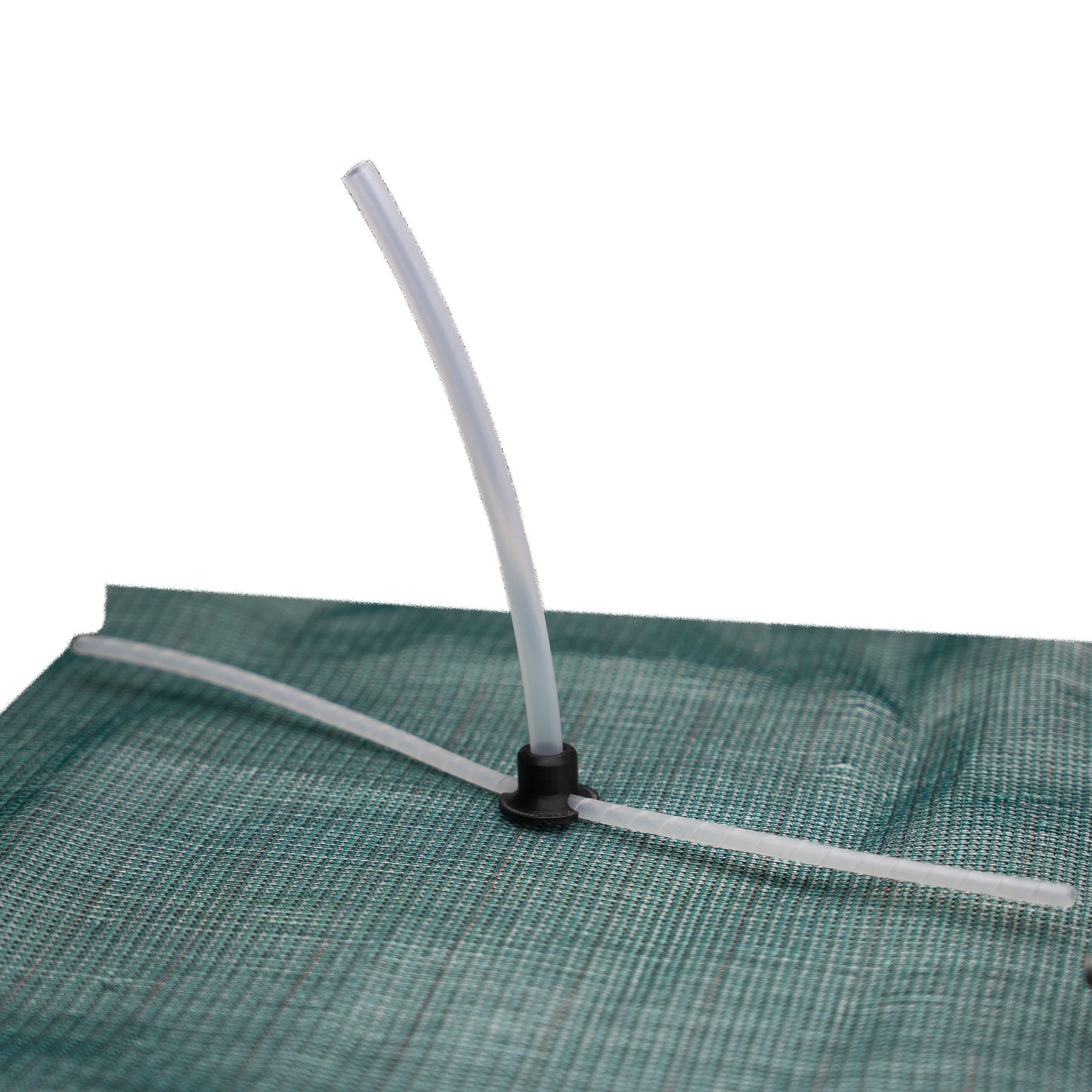 Infusionplug 10Stk.